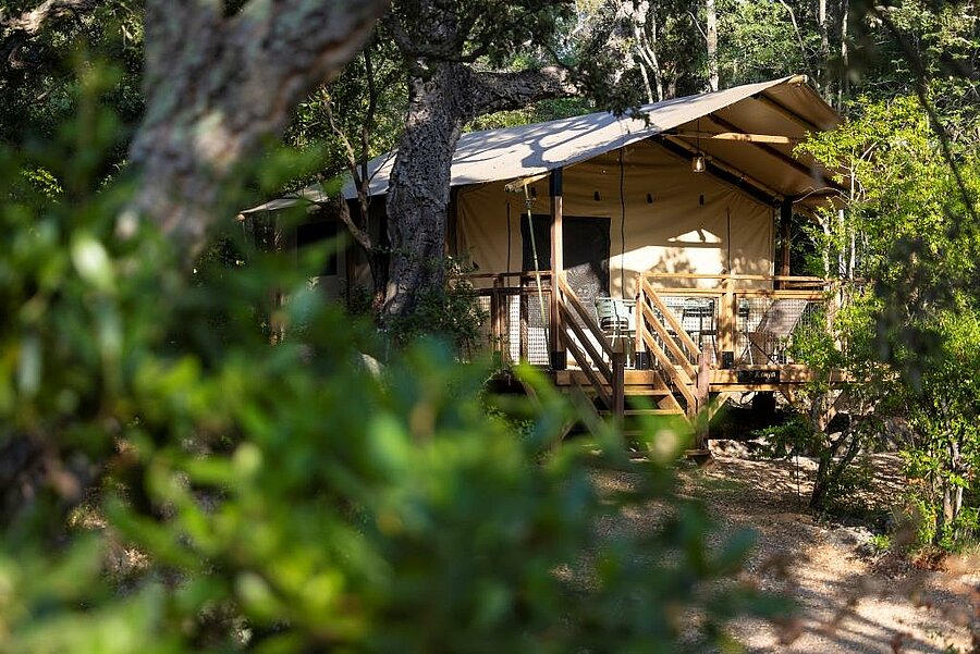 Tente lodge tout confort avec terrasse bois, nichée dans les arbres d’un camping Corse